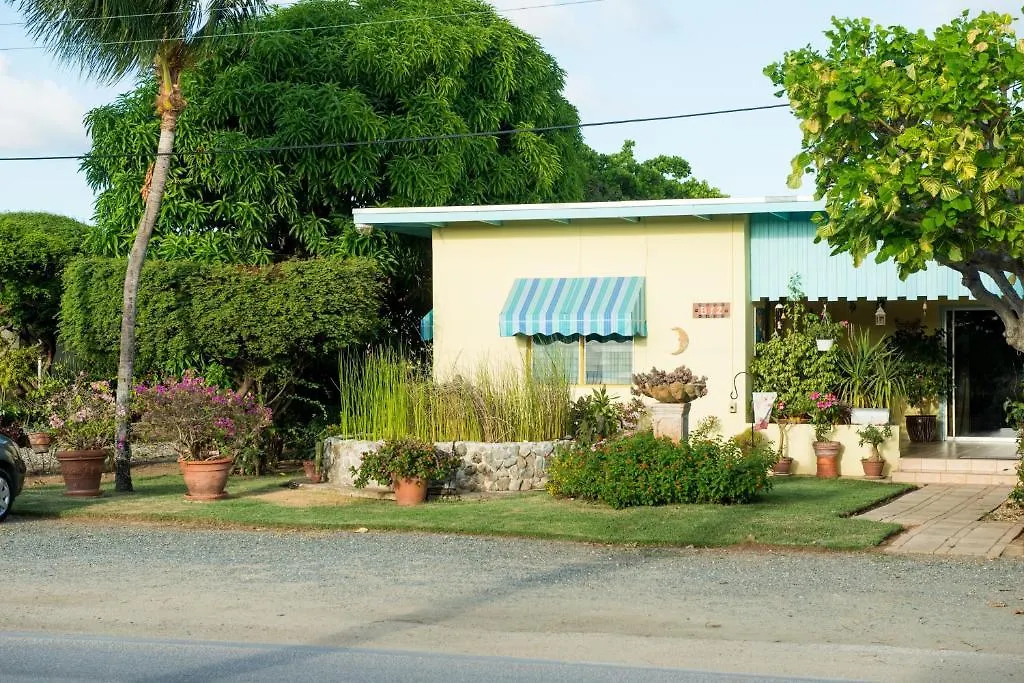 Hidden Eden Aruba Bed And Breakfast Aruba