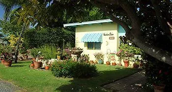 Hidden Eden Aruba Bed And Breakfast Bed & Breakfast Oranjestad