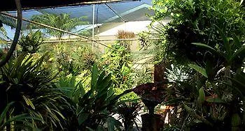 *** Bed & Breakfast Hidden Eden Aruba Bed And Breakfast Aruba