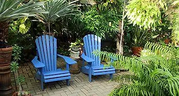 Hidden Eden Aruba Bed And Breakfast Oranjestad