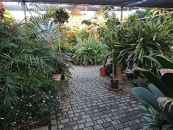 Hidden Eden Aruba Bed And Breakfast Bed & Breakfast