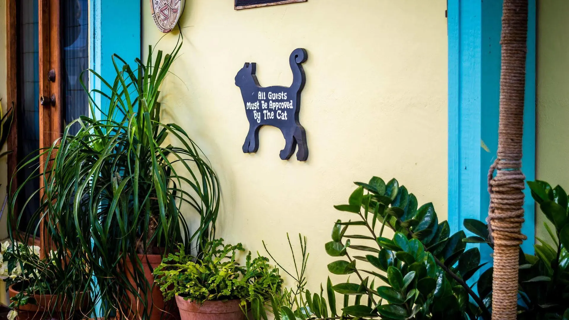 Bed & Breakfast Hidden Eden Aruba Bed And Breakfast