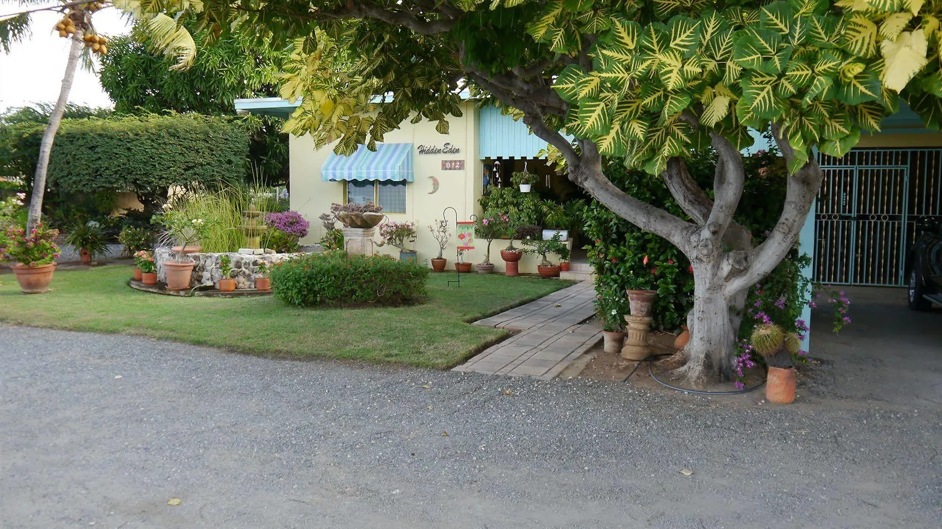 Bed & Breakfast Hidden Eden Aruba Bed And Breakfast