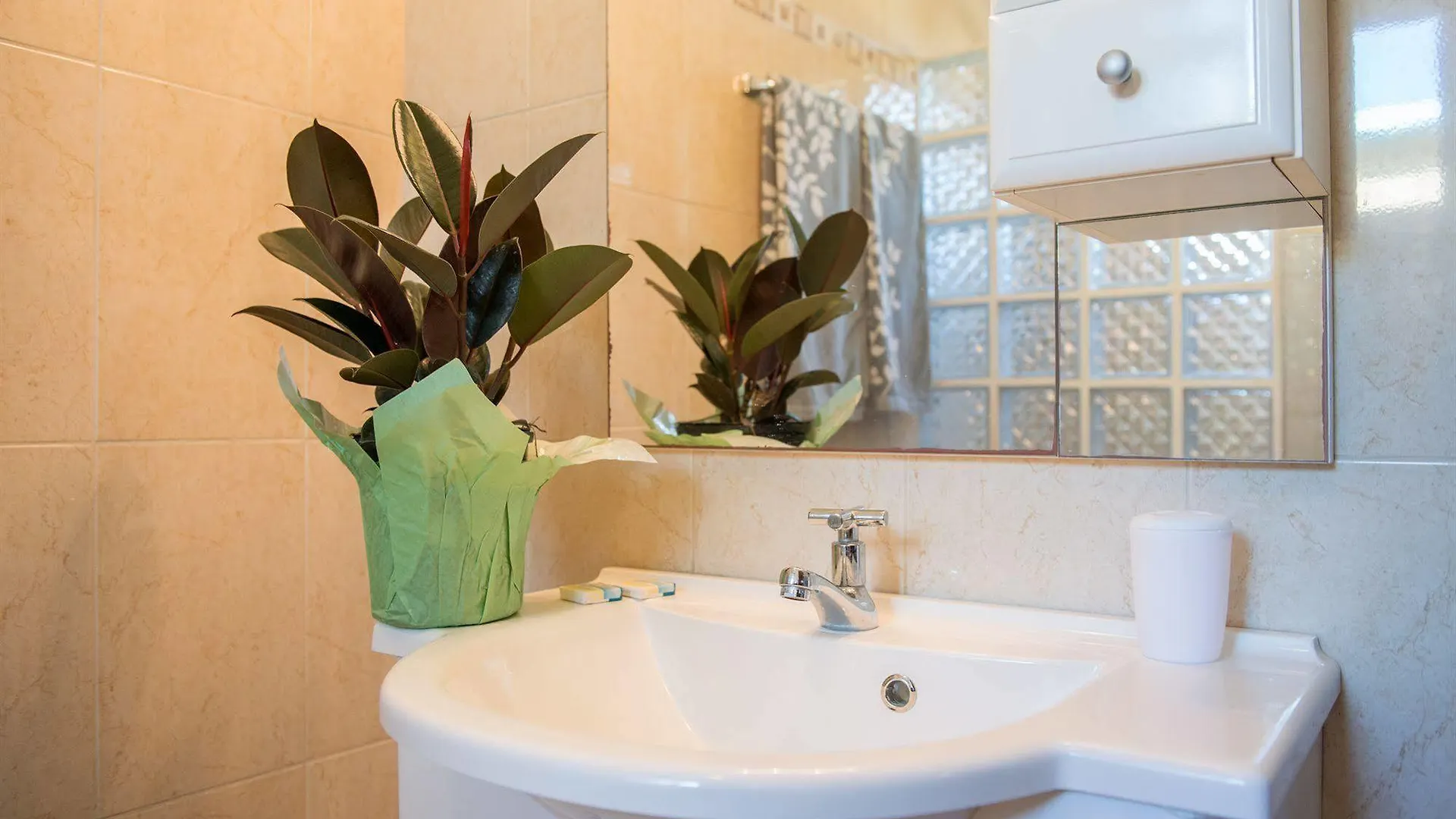 Hidden Eden Aruba Bed And Breakfast Oranjestad